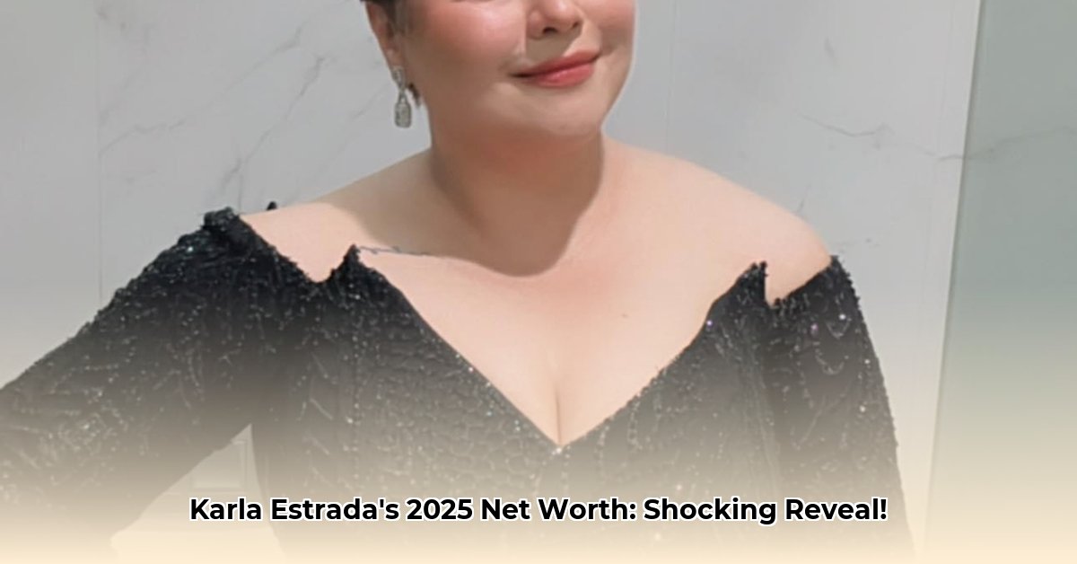 karla-estrada-net-worth